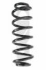 SPIDAN 86618 Coil Spring